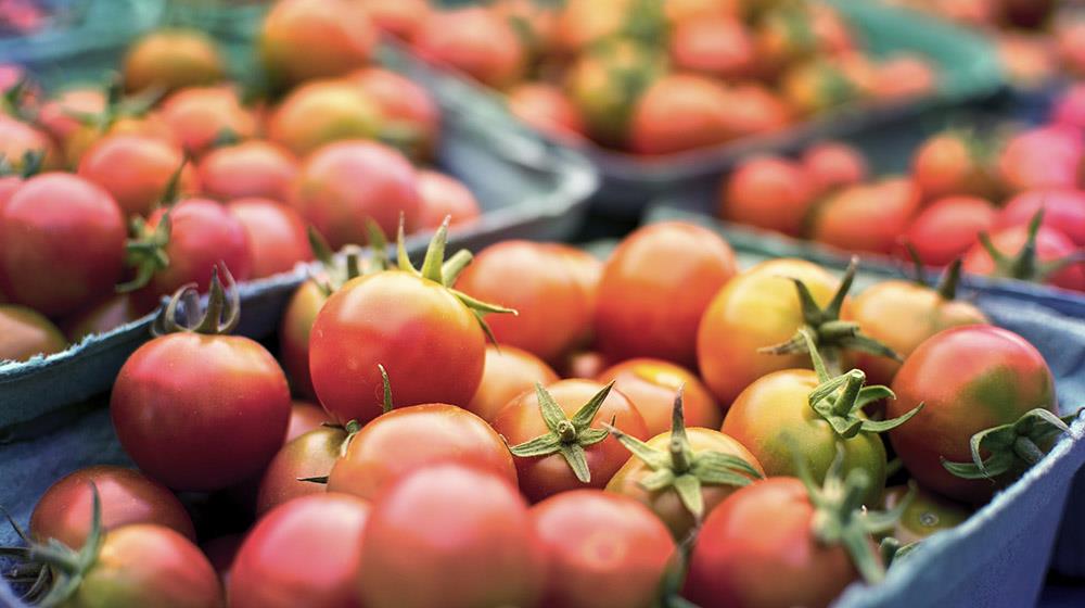 tomato_trade