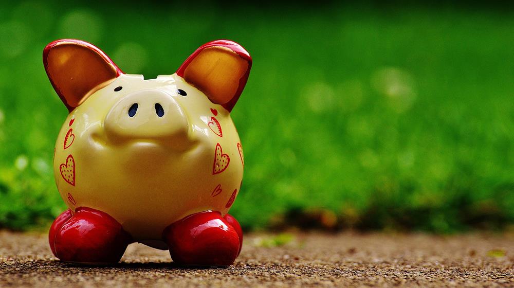 piggy bank