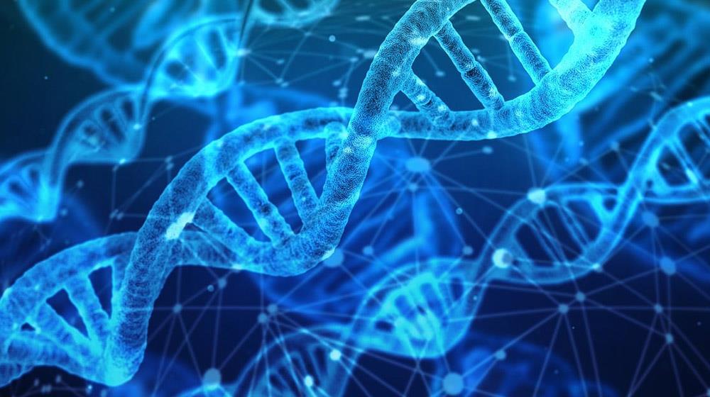 genetics
