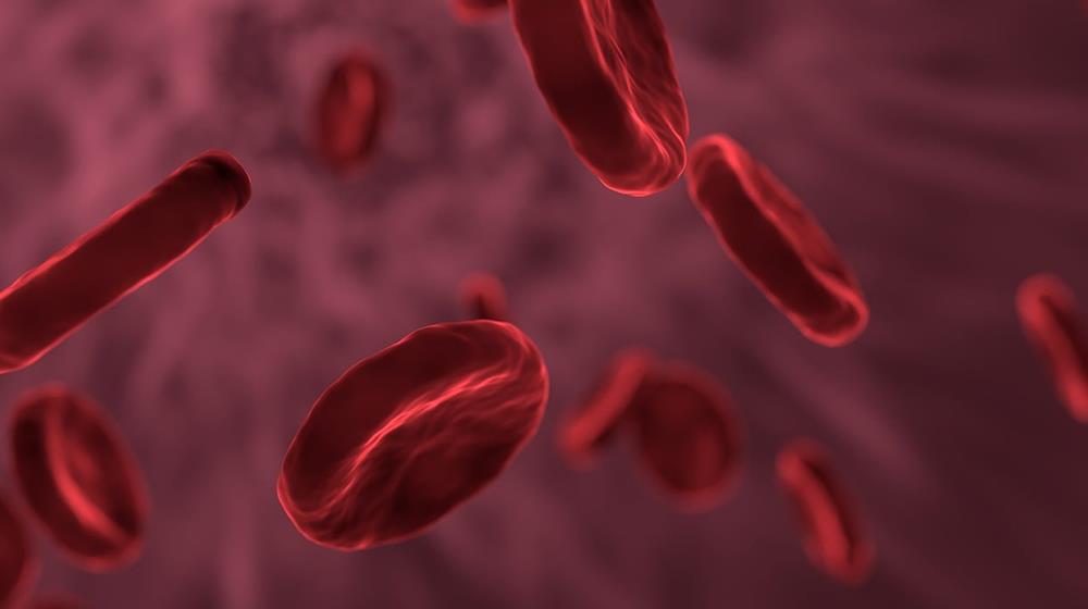 blood cells