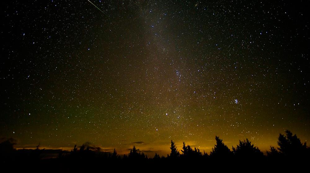 Perseids