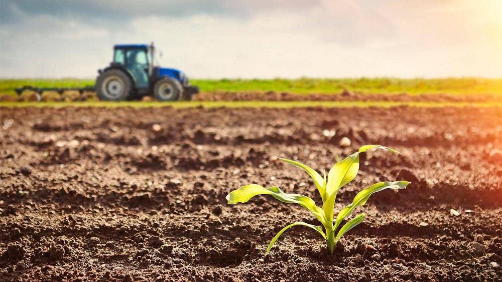 agriculture